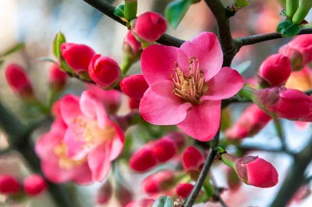 儿子订婚女方用验钞机点彩礼，我坚决取消订婚，女方道歉也不行