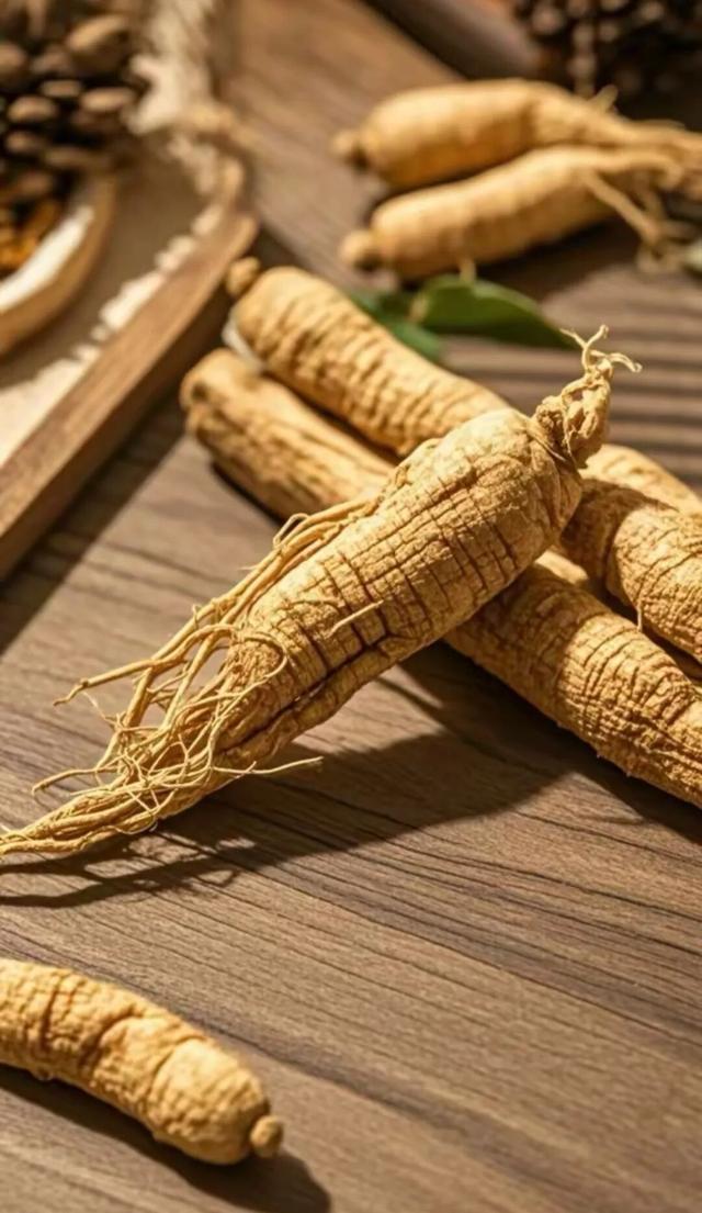 乘着高铁游威海 | 下一站，文登！