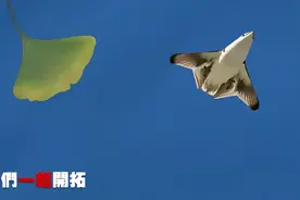 逐帧解读！东部战区重磅MV里有多少新装备图片