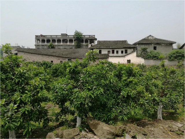 綦河故事讲不完