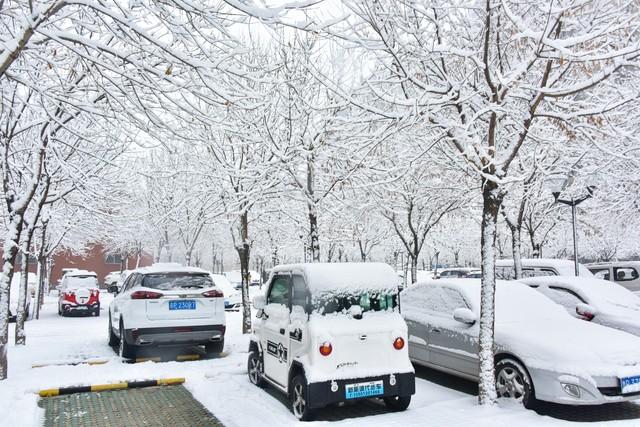 “春节冷不冷	，就看大雪”，明日大雪，2026年春节特别冷吗？