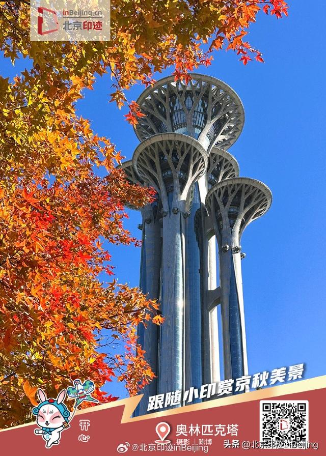 还在遗憾秋天太短暂？邀您一键保存京秋印迹