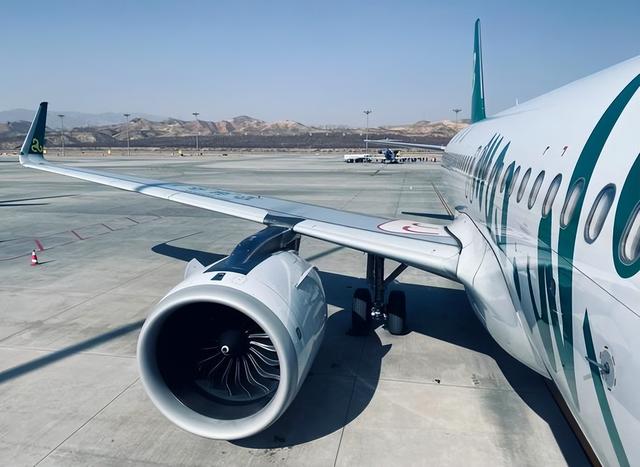 上海市民已在飞往新加坡的飞机上，突然想起燃气灶煮着鸡蛋未关火