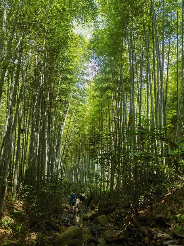 上个月一天晚上，我和女友自驾去青岛，住民宿时发生了一件怪事！