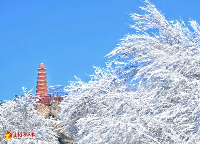 听我的，雪后的乌鲁木齐，真的能治愈一切！
