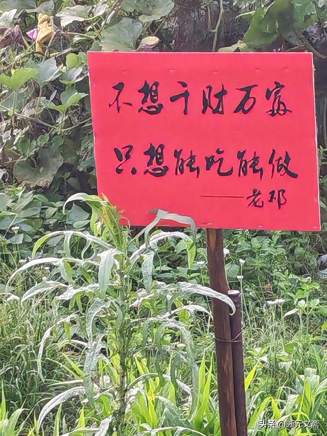 德隆山庄的故事：下雨喽。