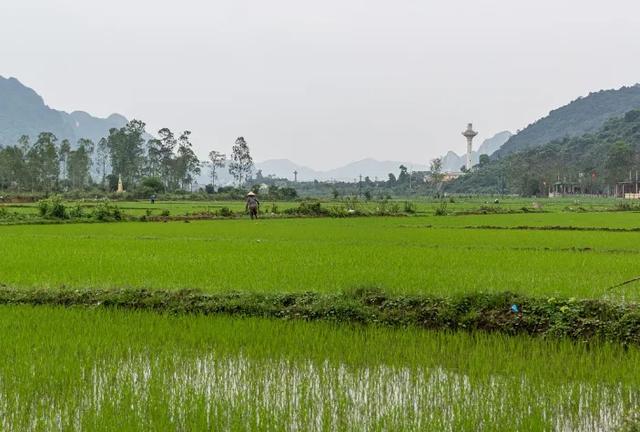 农资淡季，怎么做营销，提高销量？