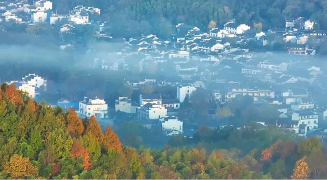 春晚“宣”字辈天团朋友圈曝光!跟着它们游宣城!