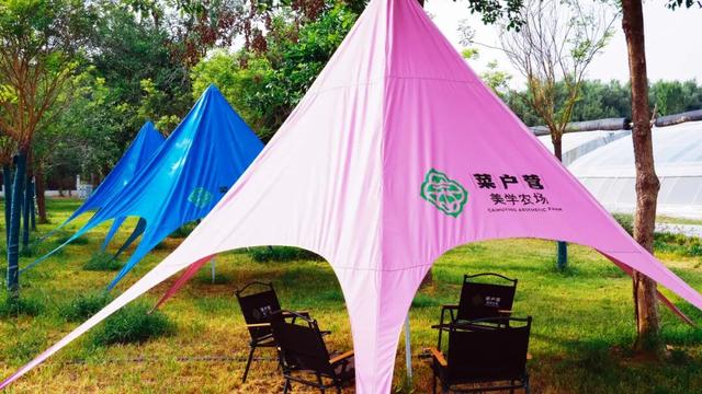 丰彩城市艺术季｜从皇家菜园到美学农场！菜户营在艺术田园里织就新童话