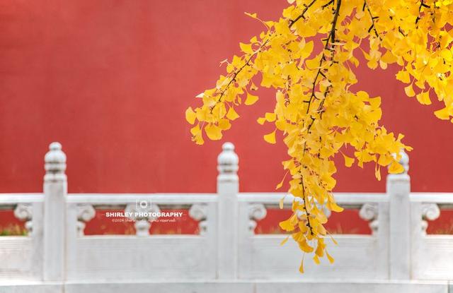 北京第一座城市公园，门票仅3元，却被很多游客当作进故宫的捷径