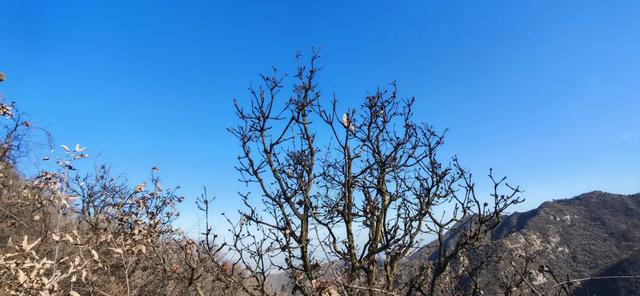 探秘长安石爷:第八尊石爷缺鼻子,递午村叫九村的原因实在意外