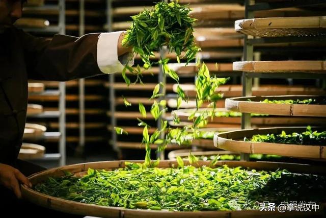 抢“鲜”看！宁强县“双节”文旅活动出炉→