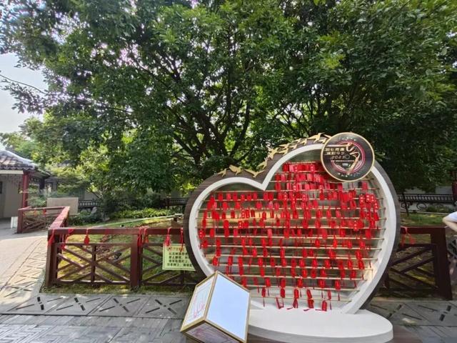 接下来6天，这位江阴人“承包”了……