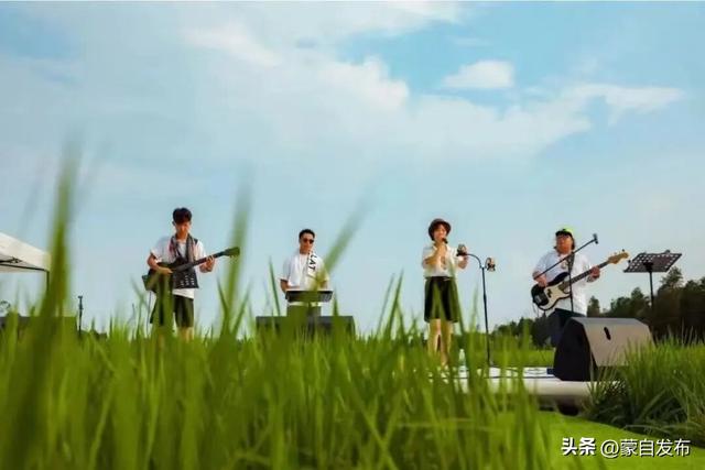 稻浪翻金迎国庆！草坝镇2025丰收狂欢季，国庆嗨玩全攻略图片