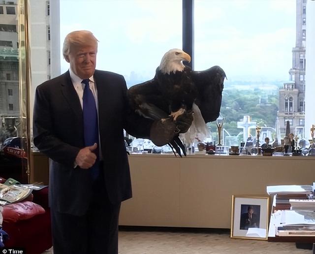 特朗普连炸7国，美防长逼中国往后退，102架次美军机分批进南海