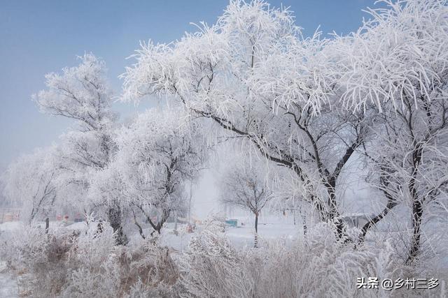 “春节冷不冷，就看冬月初一”，今日冬月初一，今年春节很冷吗？