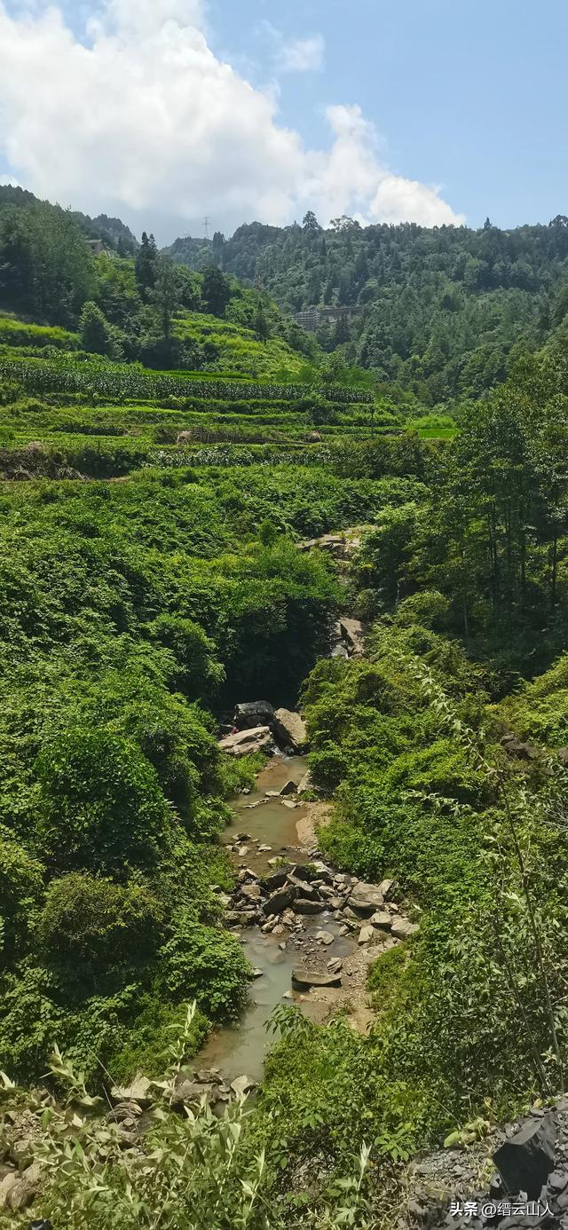 南川野游●山王坪（非景区）