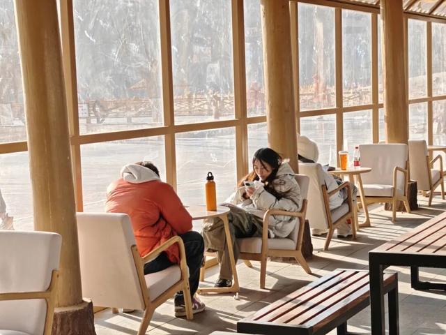 大寒暖韵满鸣沙 丝路驼铃唤客来