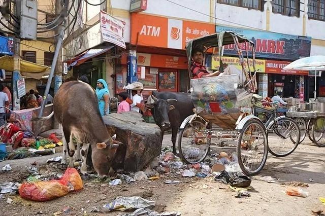 印度游客疯狂涌入中国，庐山水中搓澡还打肥皂，无视禁令引众怒！
