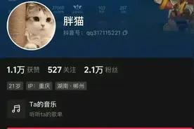 胖猫之谜：隐藏在肥胖外表下的人品高级黑科技！图片