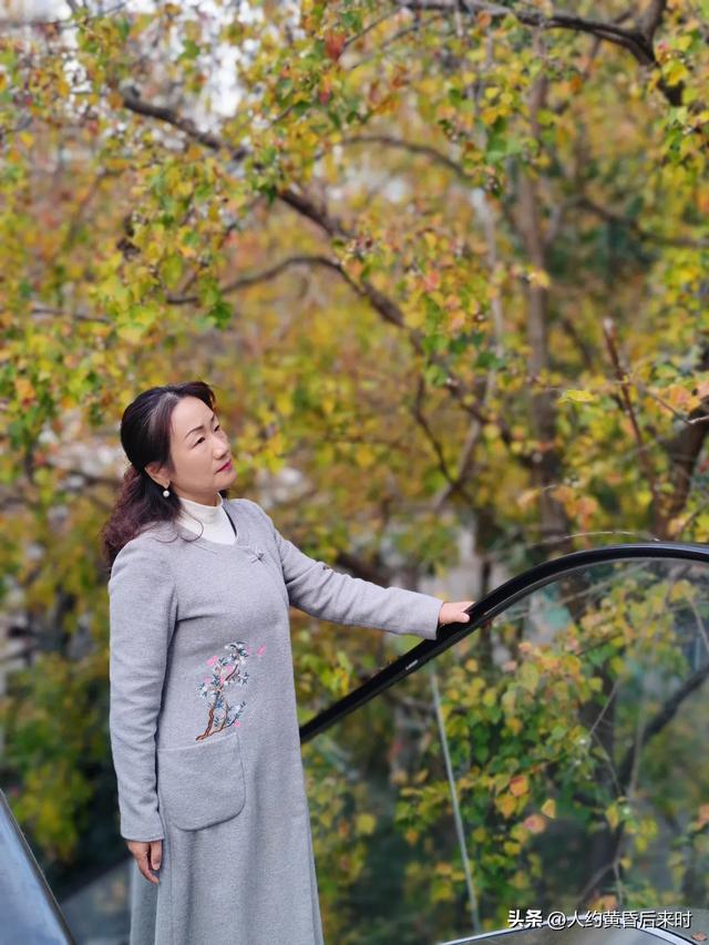 这几日的阳光很给力，银杏、乌桕、水杉相继上线。