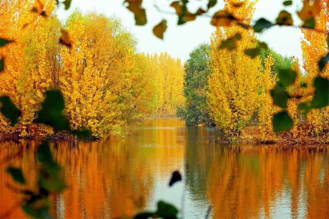 岱岳区夏张镇东城水库：色彩斑斓 秋景如画