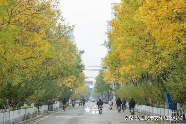 大降温后，青山最美冬景即将上线！