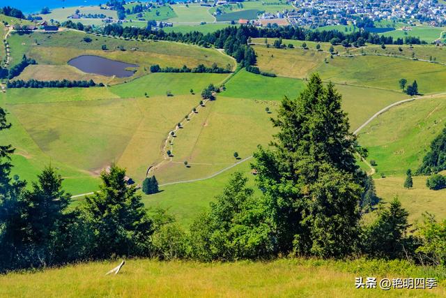 欧游杂记（5）‖ 齿轮火车几上几下瑞吉山，缆车凌空飞跃韦吉斯