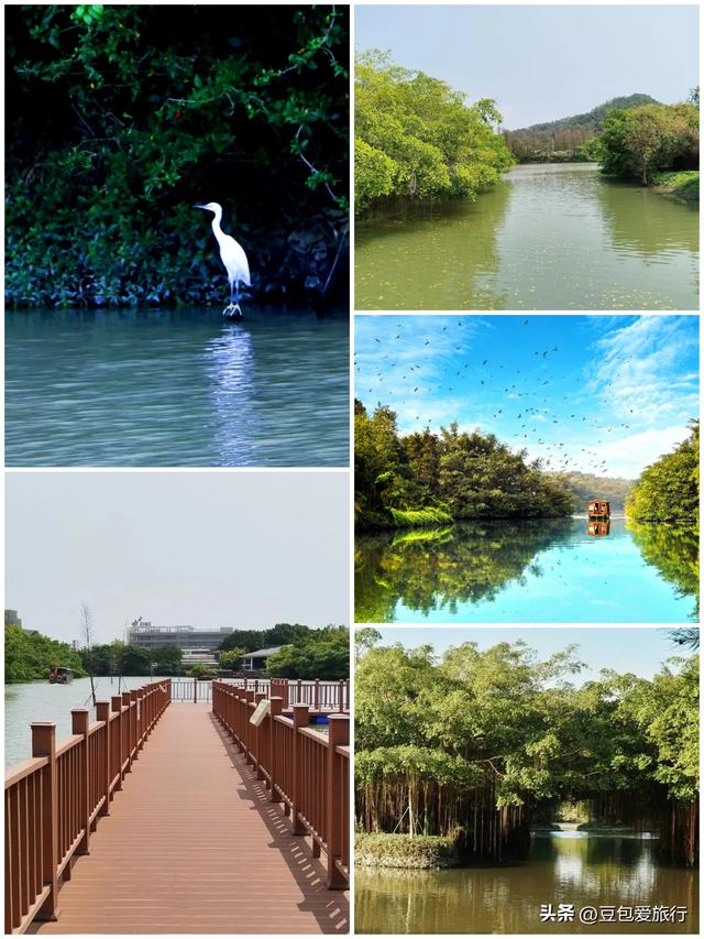 探寻侨乡古韵海岛风情之旅——江门漫游指南