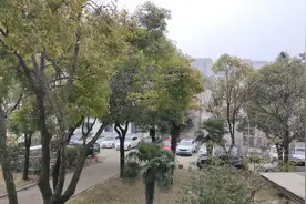 宿迁下雪了！图片