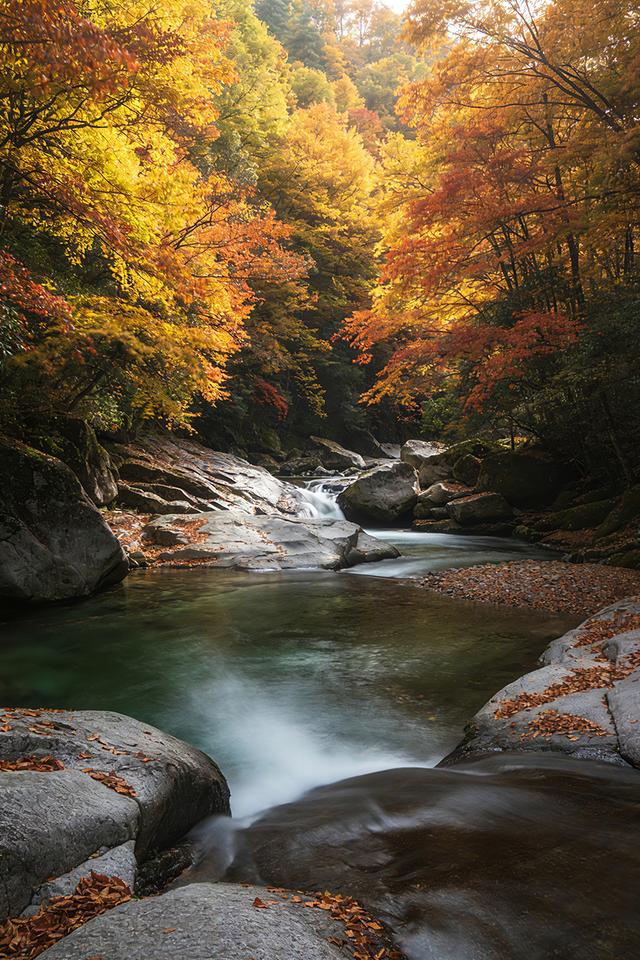秋意浓时，山河变色，情到深处，层林尽染。治愈系秋天美景