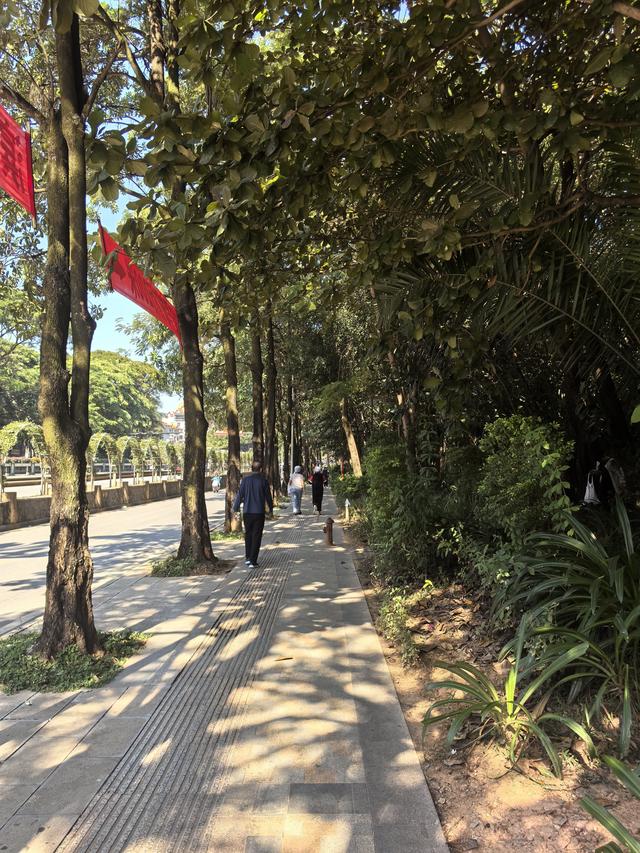 2025.11.30和辽宁沈阳朋友贾大哥游览西双版纳滨江公园