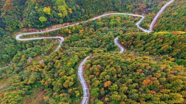 昨日实拍！层林尽染盐井峡，漫山红叶醉秋风，观赏正当时