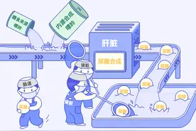 查尿酸，这些关键点你掌握了吗？图片