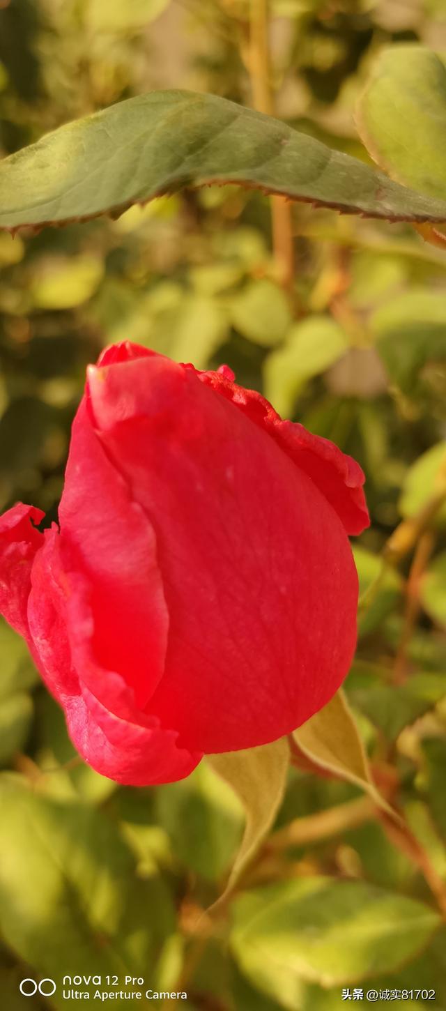 现实版的背信弃义的人，竟然挖了朋友的墙角