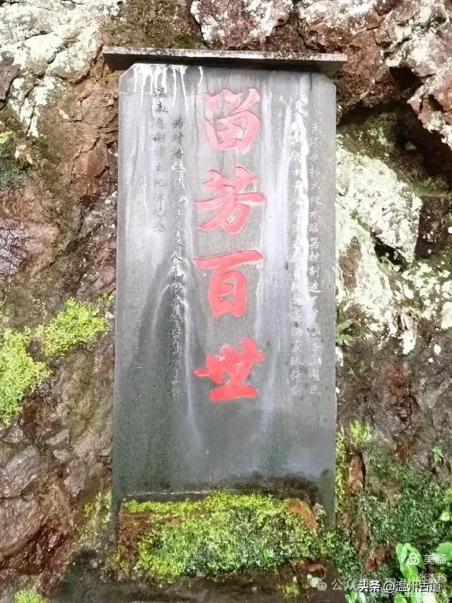 探秘雁荡三绝之一的绝美风光！来一次深度游~