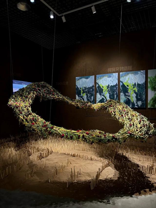 11 月乌鲁木齐活动日历：每一天都有新期待