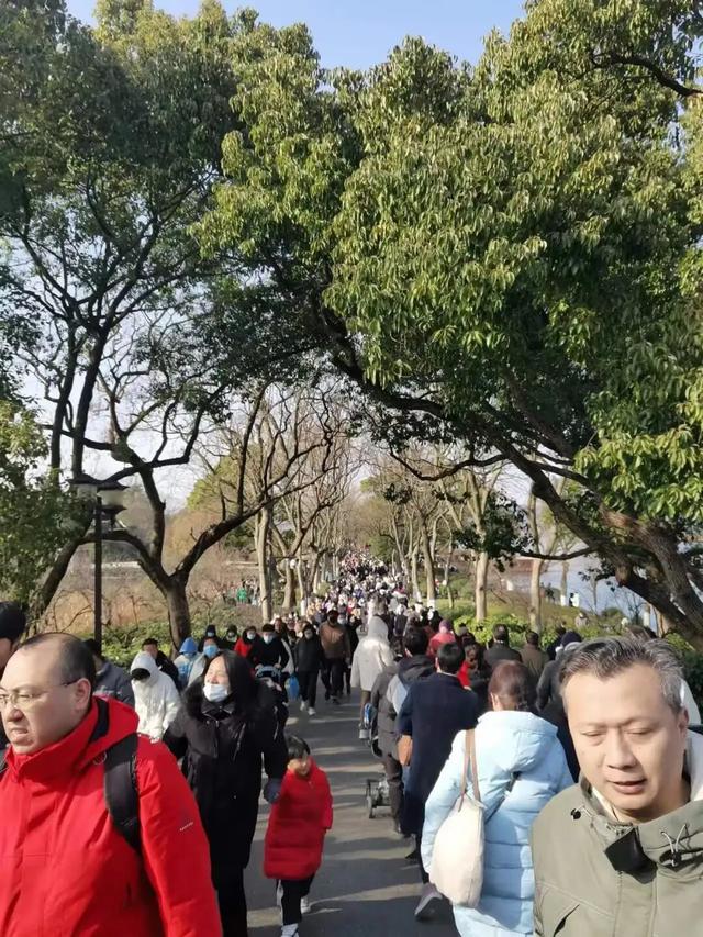 再游杭州西湖 | 作者 顾遵亚