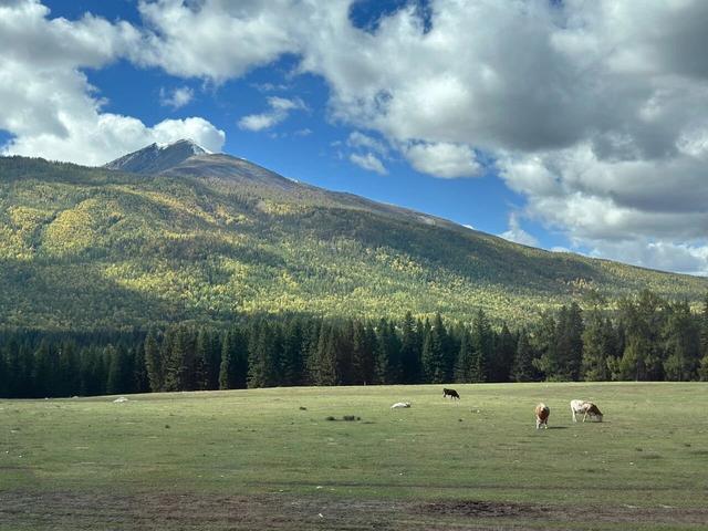 五彩斑斓喀纳斯