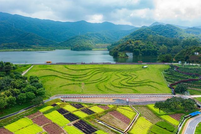 品晚熟荔枝、遛娃放风……广州从化这4条精品旅游线路全搞定!