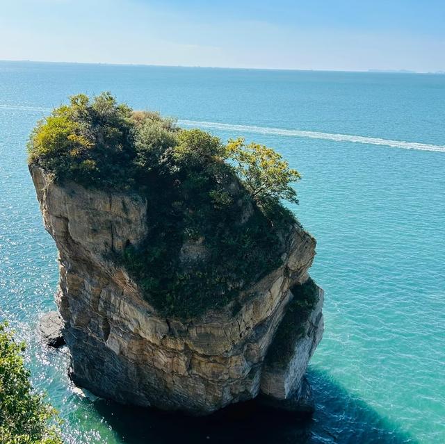 我是上海人，旅游景点大连金石滩，见几亿年海蚀怪石比老家石头凶