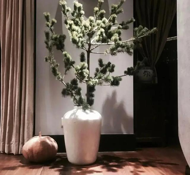 46岁殷桃的“豪宅”又火了，仅一院子就圈粉无数，那叫一个壮观！