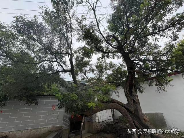在邹平上回村可以攀爬摩诃峰，但俺没爬，俺买了农家菜打了山泉水