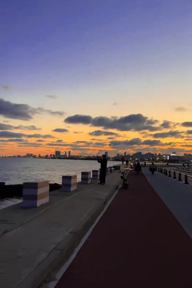 反复爱上日照的理由，藏在碧海路的橘子海里！