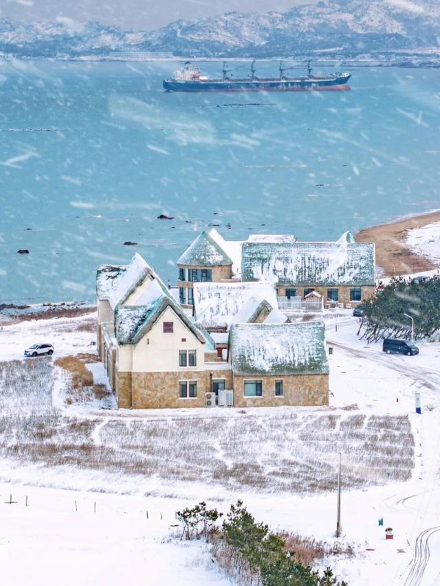 天鹅畅游圈剧透：五部恋歌，首篇「天鹅絮语」上线！