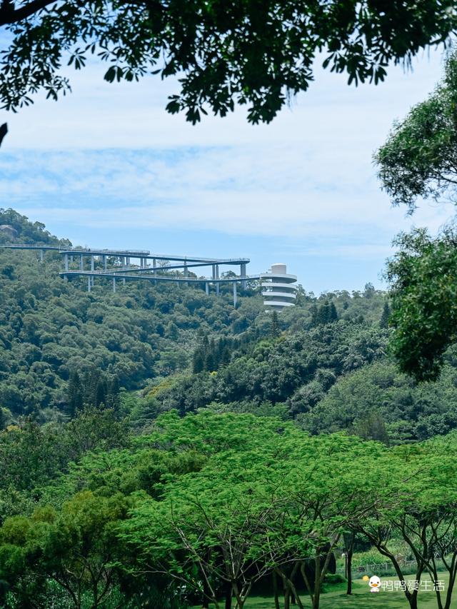 厦门上李水库公园游玩攻略，带你邂逅城市中的绿野仙踪