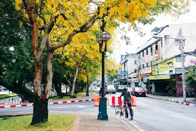 泰国人素质为何被全球游客点赞？这些细节藏着高质量生活的真相