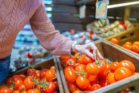 西红柿再次被关注！医生调查发现：常吃番茄，可能将收获4大好处图片