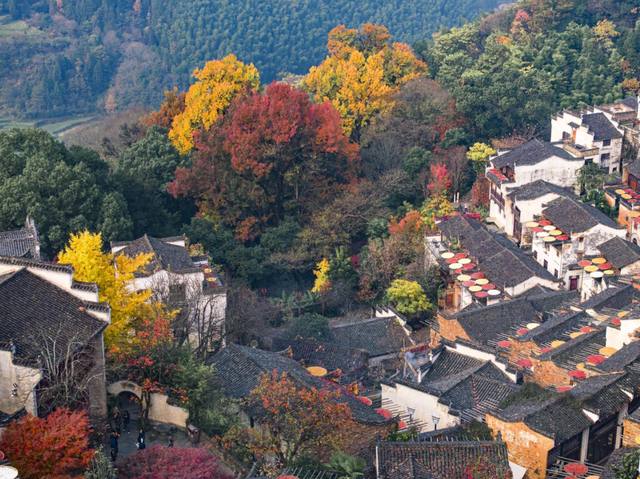 红叶配晒秋，解锁中国赏枫天花板