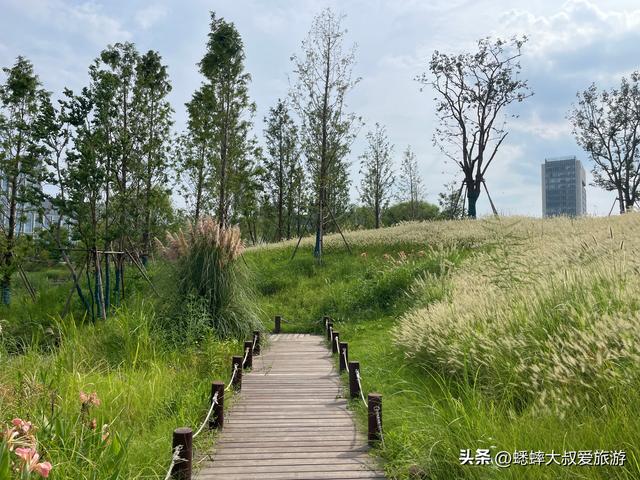 杭州新晋博物馆终于人少了，独特三优势，值得来一趟，不止是精彩